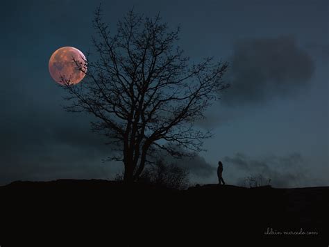 In the shadow of the moon год выпуска: 19 photos of last night's spectacular Super Blood Wolf ...