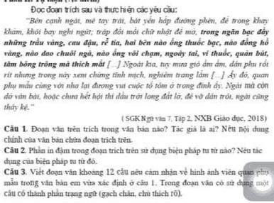 Đọc đoạn trích sau và thực hiện các yêu cầu Ngữ văn Lớp Bài tập Ngữ văn Lớp Giải bài