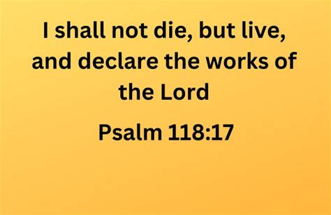 You Will Live And Not Die Psalm 11817 Sowingchrist