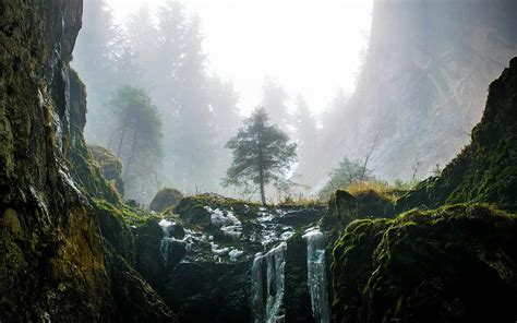 2560x1600 Waterfall Cascade Moss Forest Amazing Forest Cascades Hd