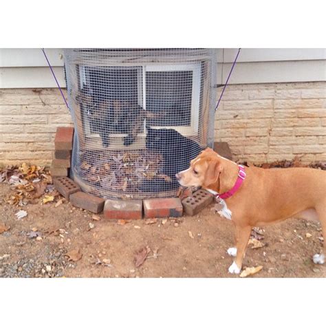 Seems like this summer the internet is full with great recipes for a children's party. Homemade DIY cat cage! Connects to basement from window for cats to enjoy outside and kick it ...