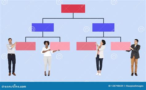 972 Organizational Chart Photos Free And Royalty Free Stock Photos From