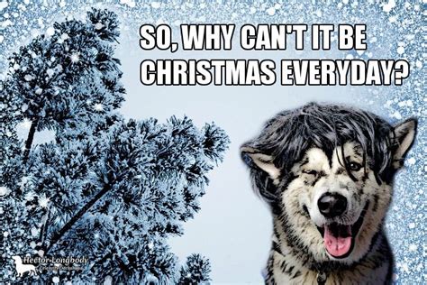 Funny Husky Christmas Card With Witty Meme Based On The Song I Wish It
