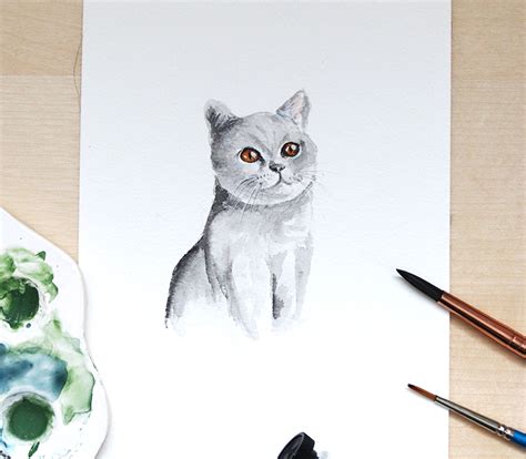 How To Draw And Paint A Cat With Watercolour Watercolour Workshop