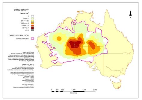 They can carry about 400 pounds and run up to 40 miles per hour. CamelScan > Large populations of feral camels in Australia