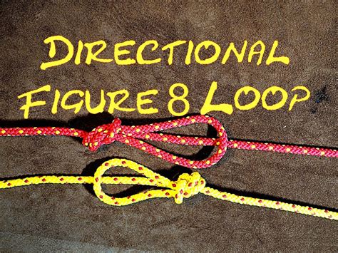 Directional Inline Figure 8 Loop How To Tie Letsgetknotting Inline