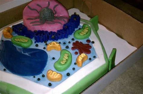 Plant Cell Project Cake Ideas