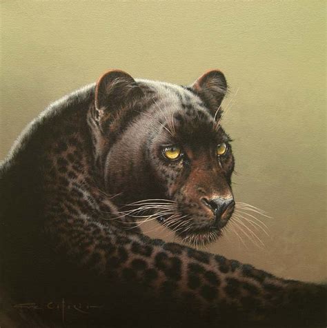 15 on south african first division. ArtStation - "Black Leopard Study", Fuz Caforio