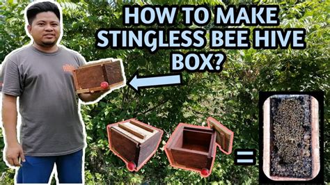 How To Make Stingless Bee Hive Box Youtube