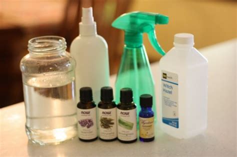 Homemade Natural Bug Repellent Recipes Going Evergreen