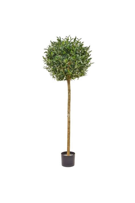 Artificial Olive Topiary Ball Tree 150cm