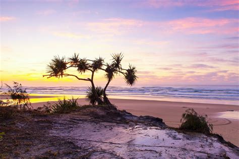 Tour Fraser Nature And Adventure Day Tours Fraser Island