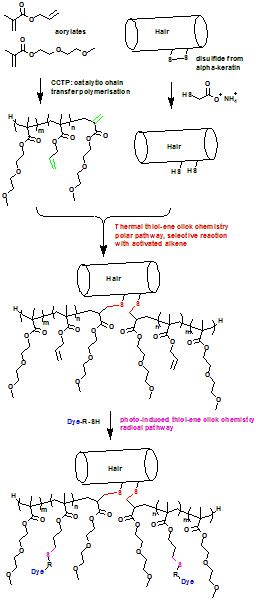 The precursor molecules vary but. Click Chemistry: Click chemistry on hair 2