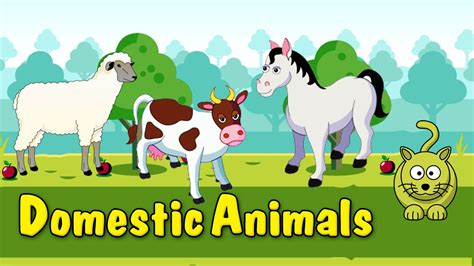 Learn Domestic Animals Animated Video For Kids English Animation