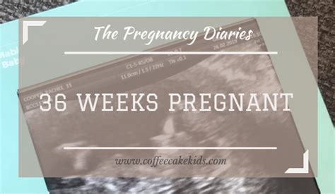 The Pregnancy Diaries Archives