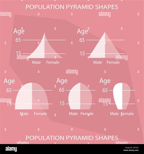 Population And Demography Illustration Set Of 5 Types Of Population