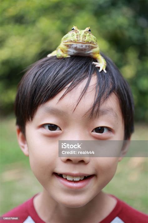 Asia Boy Holding Frog Stock Photo Download Image Now Frog 10 11