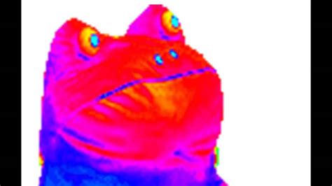 Mlg Rainbow Frog For 1 Hour Youtube