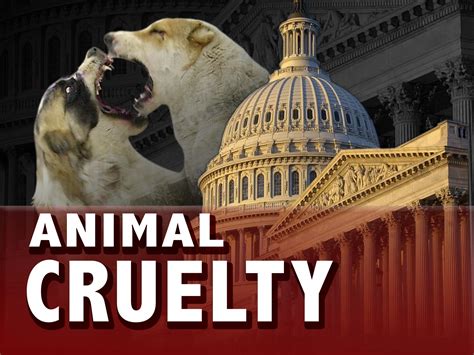 House Lawmakers Pass Bill Making Animal Cruelty A Felony Alabama News