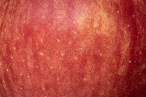 711 Red Apple Skin Texture Stock Photos Free And Royalty Free Stock