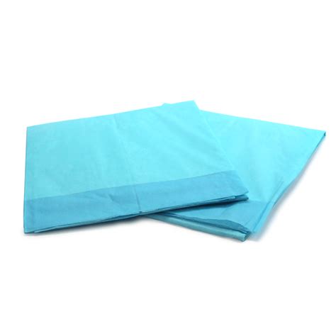Disposable Protective Underpads 17 X 24 100pack Regular Absorption