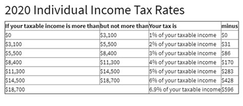 Montana Tax Rebates