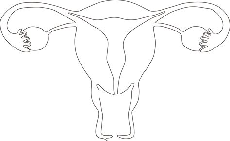 dibujo de arte de línea continua del útero reproductivo femenino
