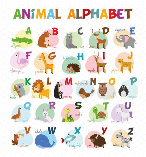 English Animal Alphabet Vector Animal Illustrations ~ Creative Market