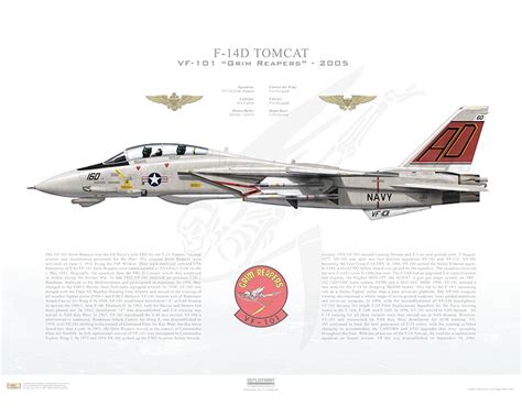 Aircraft Profile Print Of F 14d Tomcat Vf 101 Grim Reapers Ad160