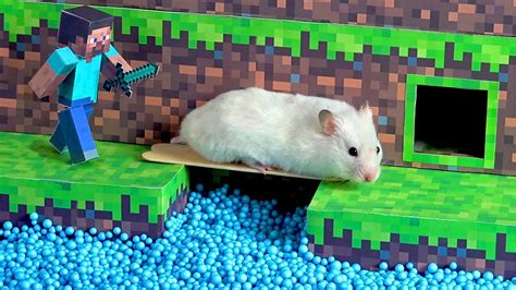 Hamster Minecraft Maze Youtube