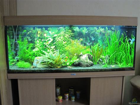 Aquarium Von Streaknet 17130 Juwel Rio 240