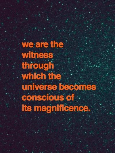 We Are The Witness Through Which The Universe Becomes Conscious Of Its