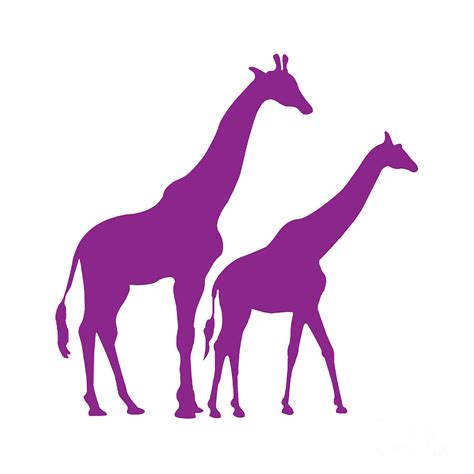 Giraffe In Purple And White Digital Art By Jackie Farnsworth
