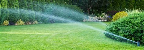 My guess is you can back off to once or twice a day this time of the year for about 10 minutes. Houston Irrigation Services & Sprinkler System Installation | Zodega