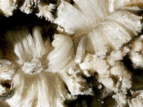 Minerals Pictures Minerals Photos National Geographic Gypsum