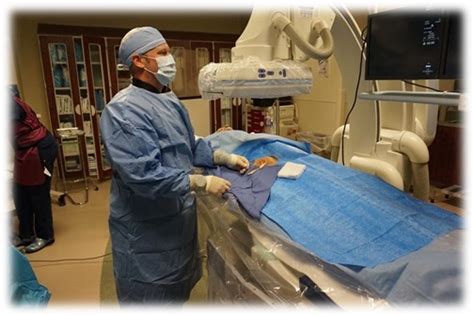 Diagnostic And Interventional Radiology Concentration Dir