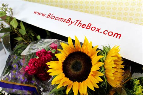 See what our customers love and keep coming back to. Top 5 Doubts About Ordering Wholesale Flowers Online