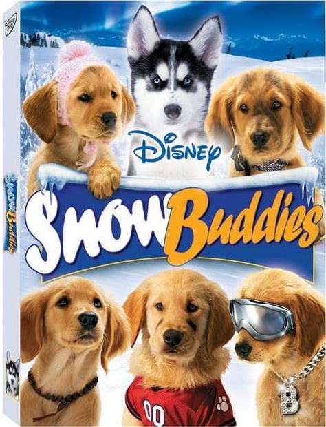 Snow Buddies Dvd
