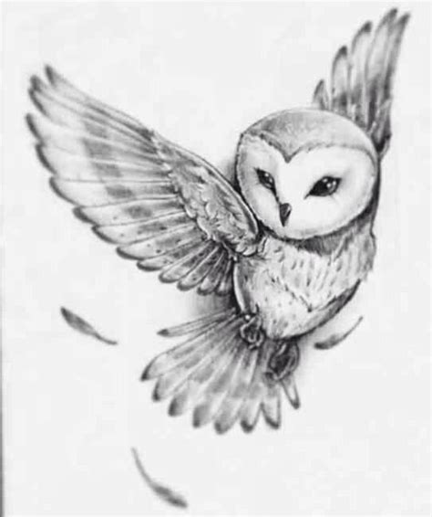 Flying Owl Owl Tattoo Drawings Owls Drawing Tatoo Art Animal