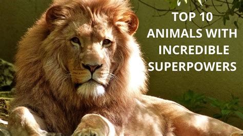 Top 10 Animals With Incredible Superpowers Youtube