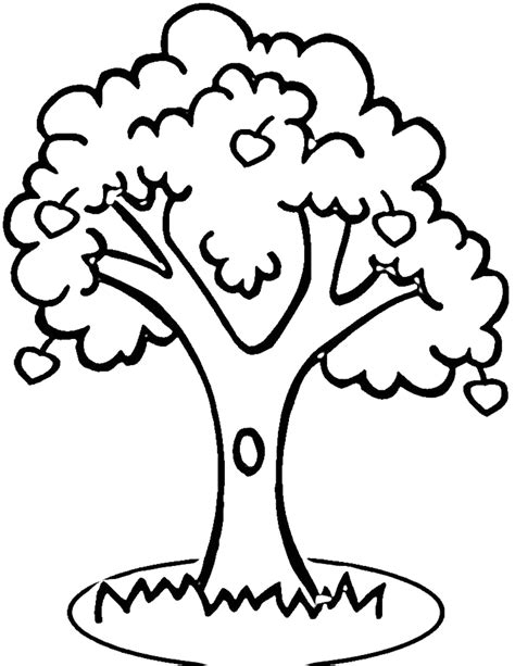 Download the perfect apple tree pictures. Tree outline clipart - Clipground