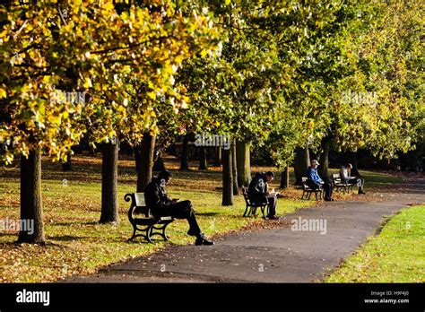 Sitting Quietly On The Benches In Regents Park London On An Autumnal