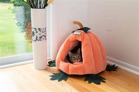 Adorable Pumpkin Cat Bed Your Cat Cant Resist Ok Cute Pets