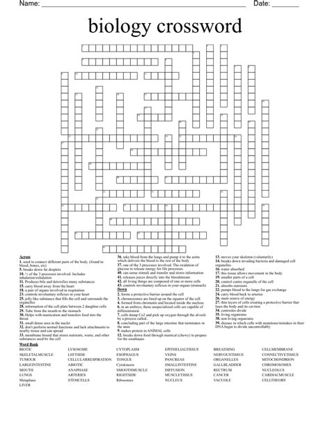 Biology Crossword Wordmint