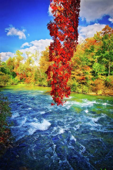Autumns Flame Niagara Falls New York Photograph By Lynn Bauer