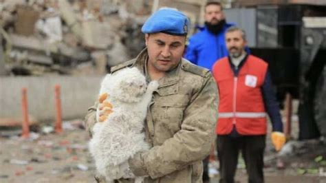 turkey earthquake turkish cat rescued from debris netizens says ‘so sweet world news