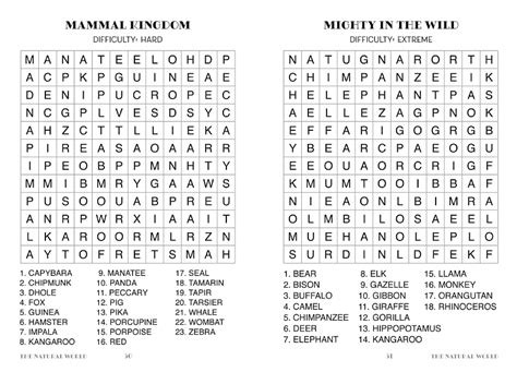 Word Search Large Print Flame Tree Publishing