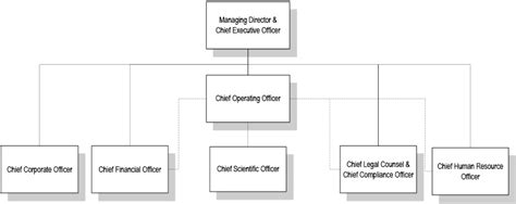 Organizational Structure Of Nestle Company