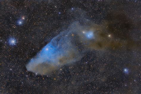 Astronomers Do It In The Dark Ic 4592 The Blue Horsehead Nebula In