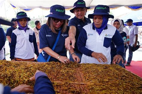 Peringati Hari Tani Nasional 2023 Program Makmur Pupuk Indonesia Ajak